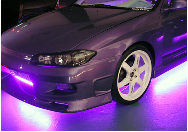 sa tue le mauve